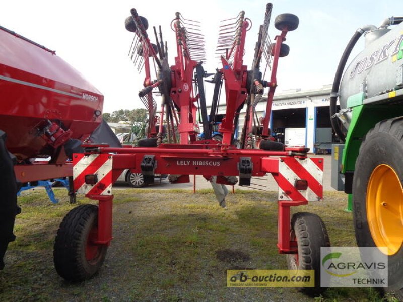 Schwader tip Lely HIBISCUS 805, Gebrauchtmaschine in Nartum (Poză 10)