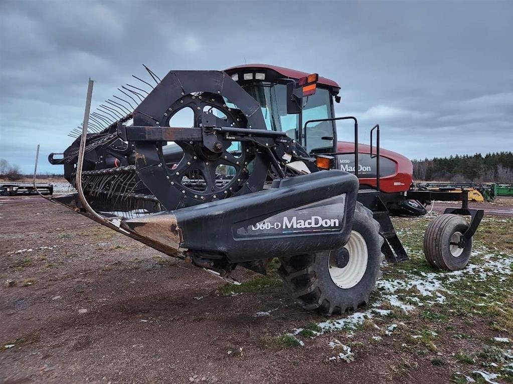 Schwader del tipo MacDon D-Serien, Gebrauchtmaschine en Hjørring (Imagen 1)