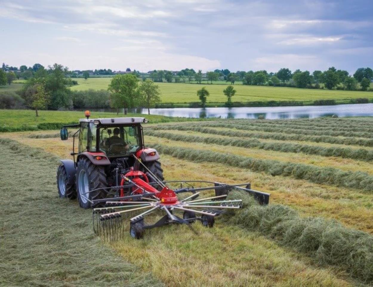 Schwader des Typs Massey Ferguson 341 DN, Gebrauchtmaschine in Toftlund (Bild 4)