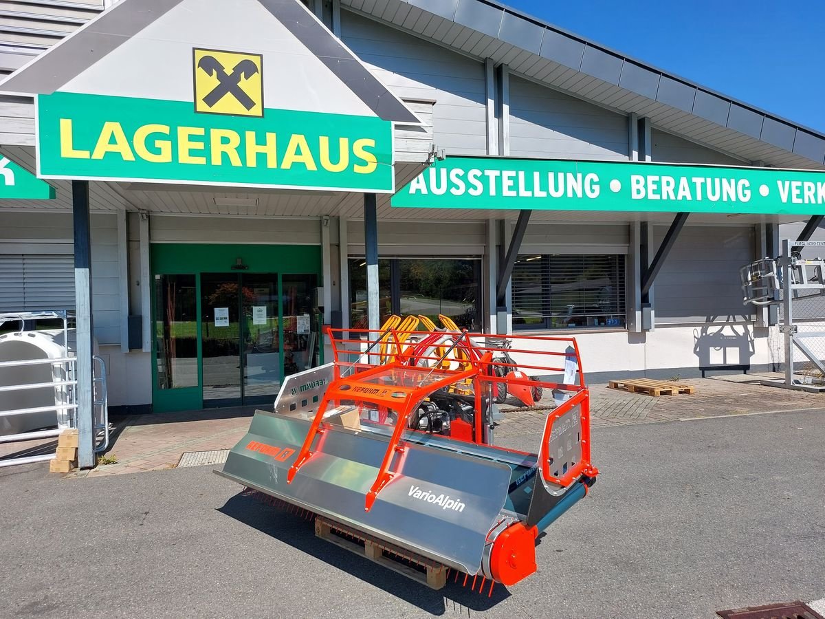 Schwader Türe ait Reform Pick-up Vario Alpin 250, Neumaschine içinde Bruck (resim 1)