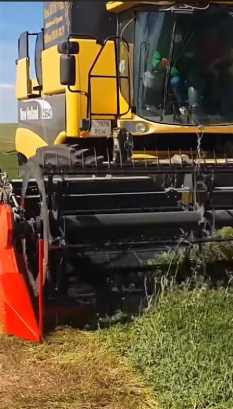 Schwader van het type Sonstige MORESIL SW SWATHER, Gebrauchtmaschine in Hjørring (Foto 6)