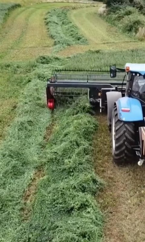 Schwader Türe ait Sonstige MORESIL SW SWATHER, Gebrauchtmaschine içinde Hjørring (resim 4)