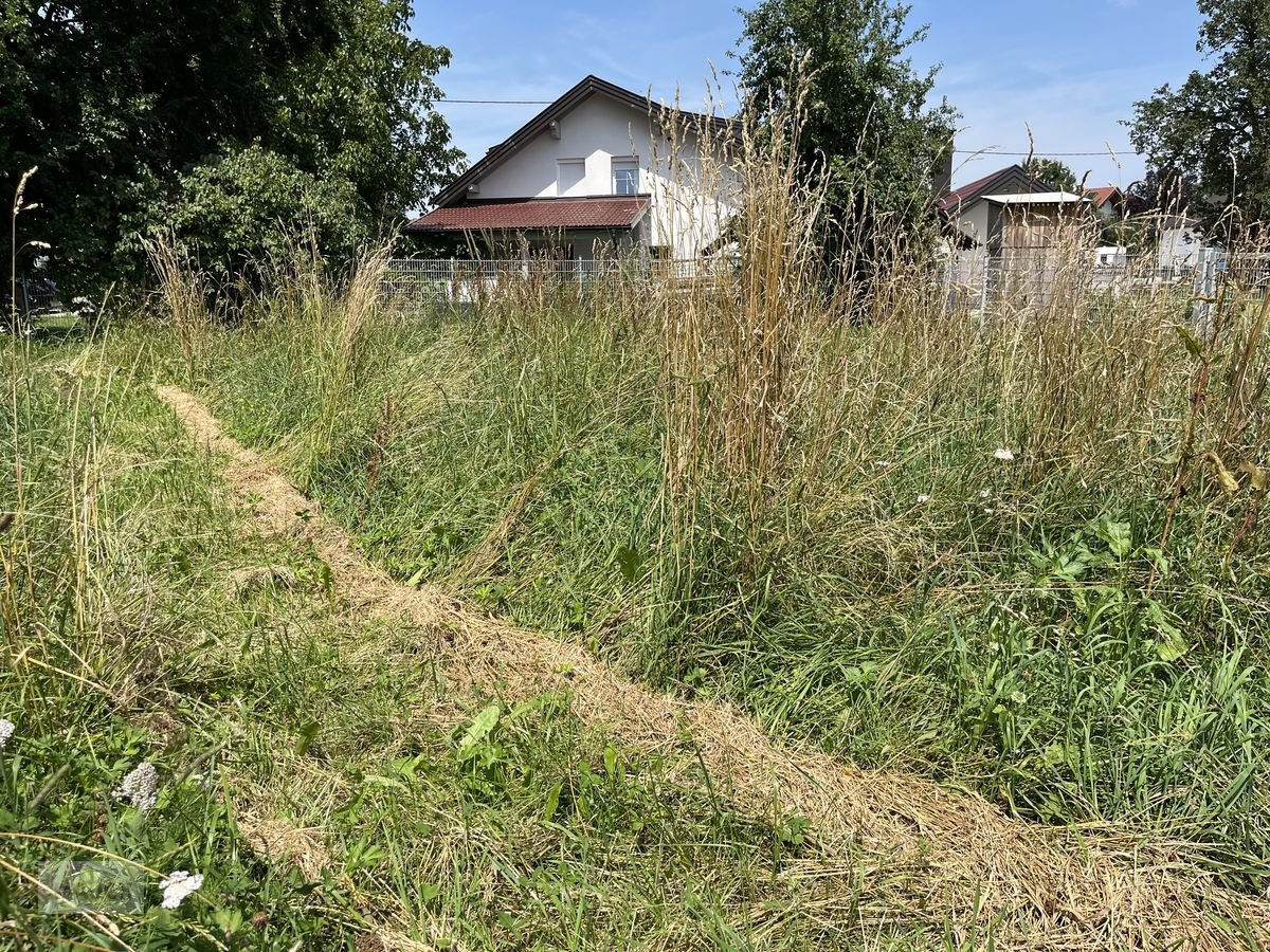 Sitzrasenmäher typu Amazone Profihopper 1500 Sammeln / Schlegeln / Sportplat, Neumaschine w Burgkirchen (Zdjęcie 20)