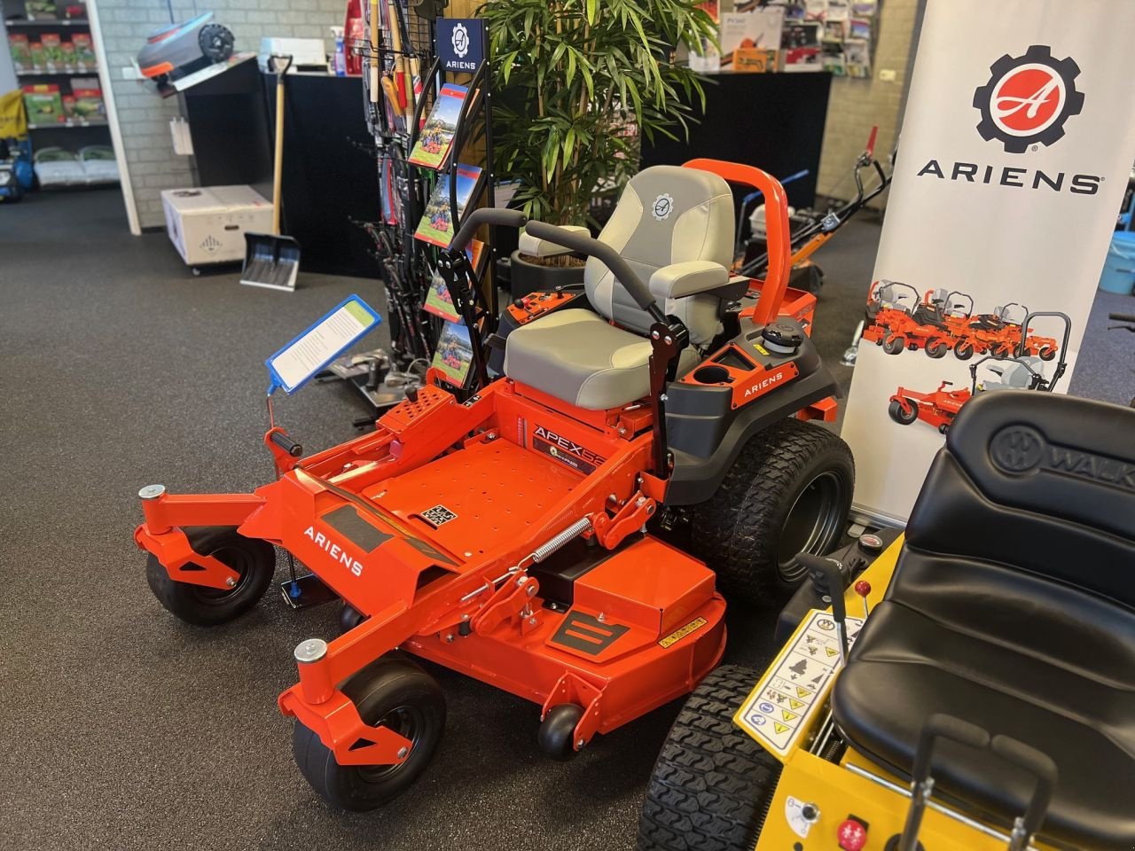 Sitzrasenmäher del tipo Ariens Apex 52RD, Neumaschine en MARIAHOUT (Imagen 1)