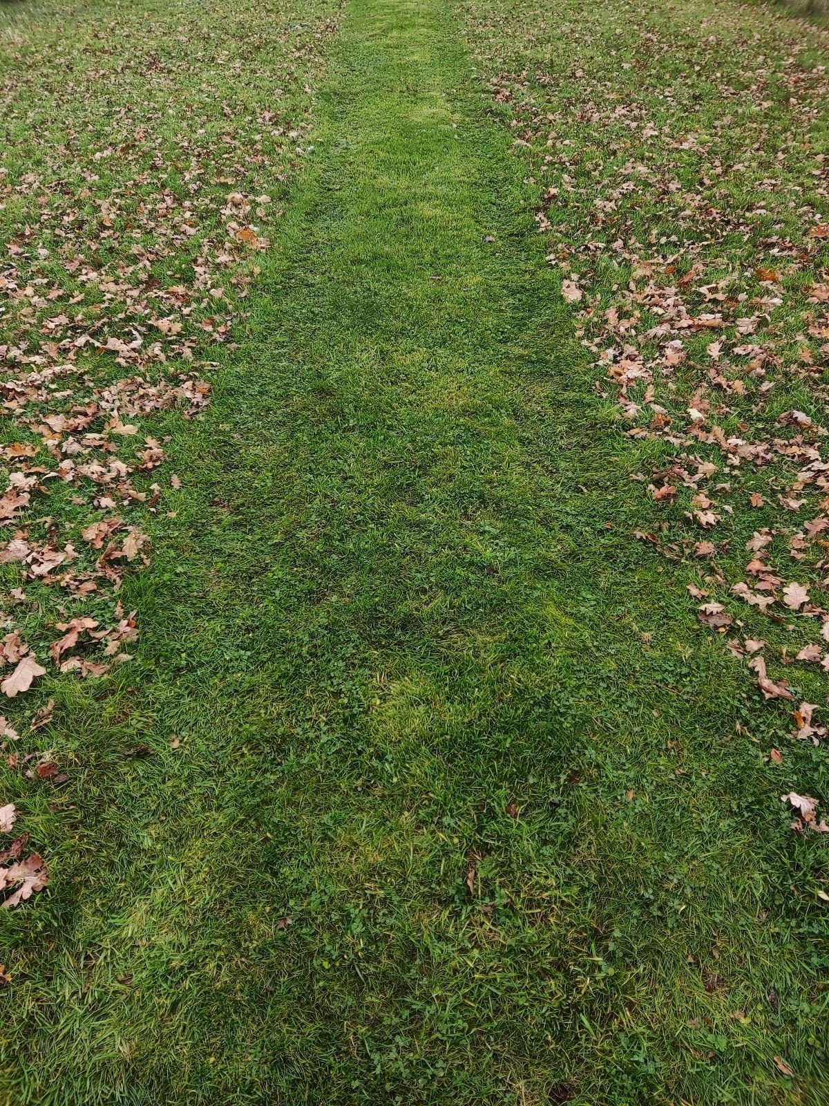 Sitzrasenmäher del tipo Etesia Hydro 124 D, Gebrauchtmaschine In Klarenbeek (Immagine 11)