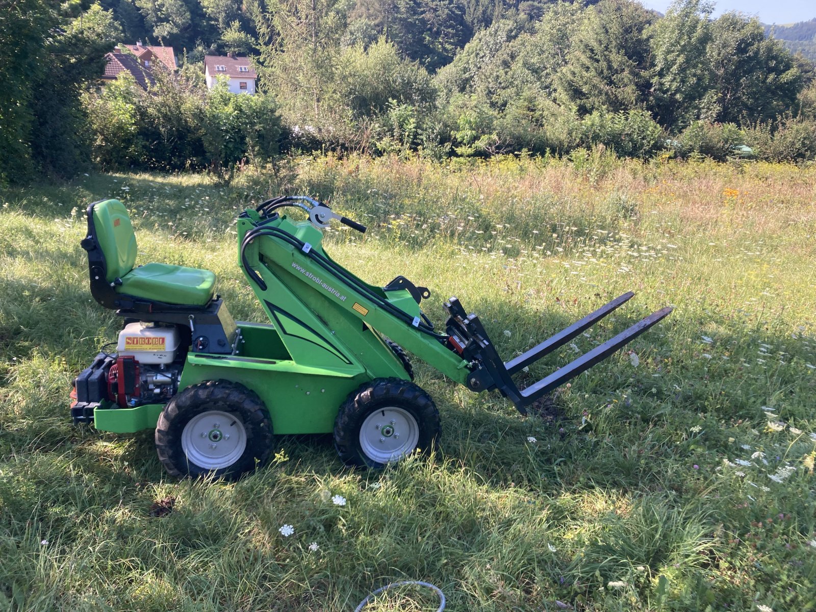 Sonstige Bagger & Lader del tipo Avant 313S, Gebrauchtmaschine In Grünbach am Schneeberg (Immagine 2)