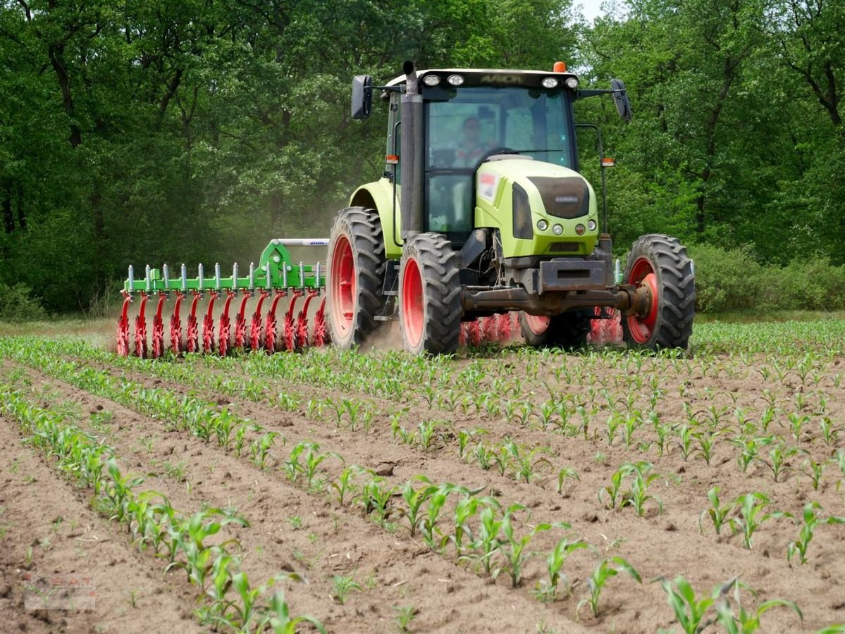 Sonstige Bodenbearbeitungsgeräte от тип Agrotika 300-Rotorhacke-Sternhacke-NEU, Neumaschine в Eberschwang (Снимка 7)