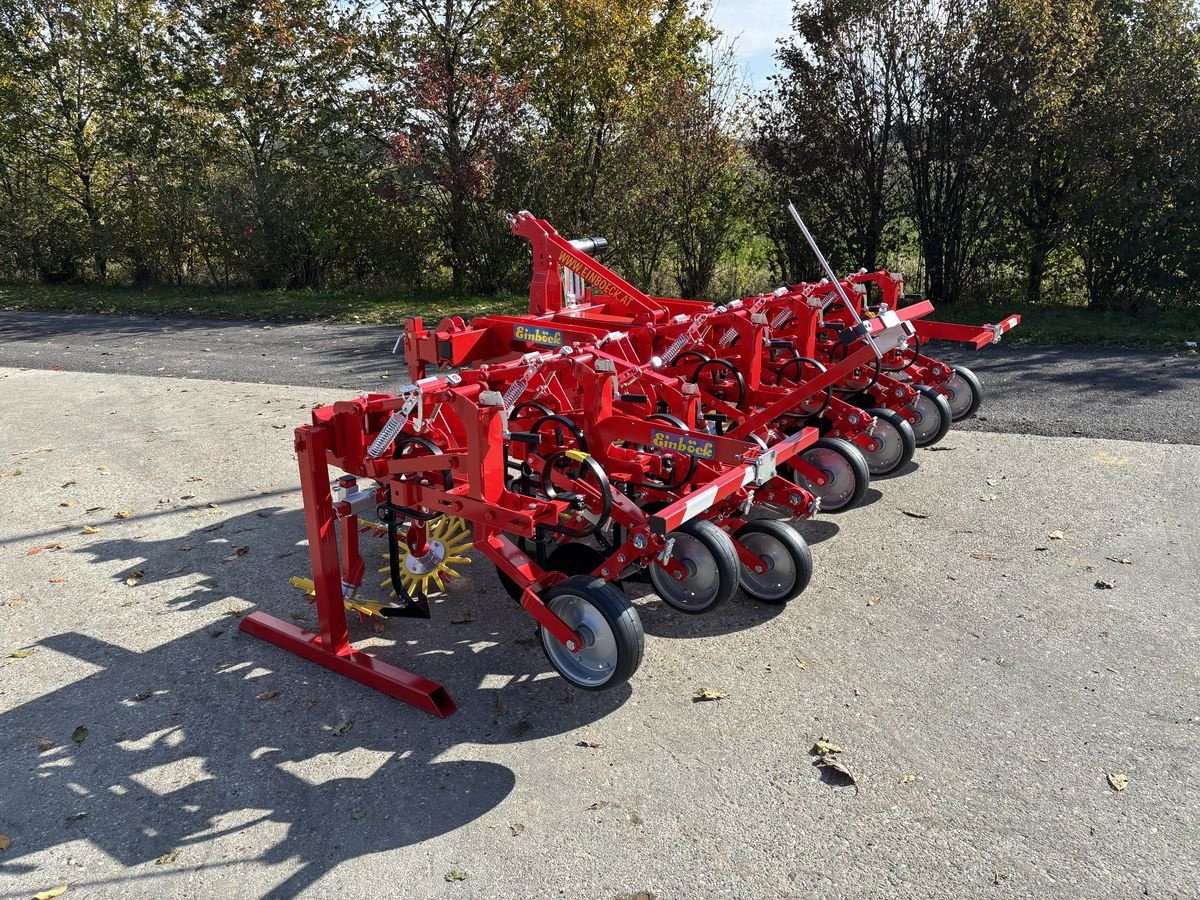 Sonstige Bodenbearbeitungsgeräte tip Einböck Chopstar 3-60 6-reihig, Neumaschine in Starrein (Poză 5)