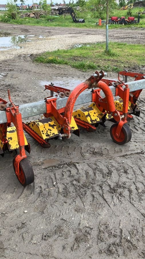 Sonstige Bodenbearbeitungsgeräte του τύπου Sonstige Breviglieri Reihenfräse, Gebrauchtmaschine σε Eferding (Φωτογραφία 4)