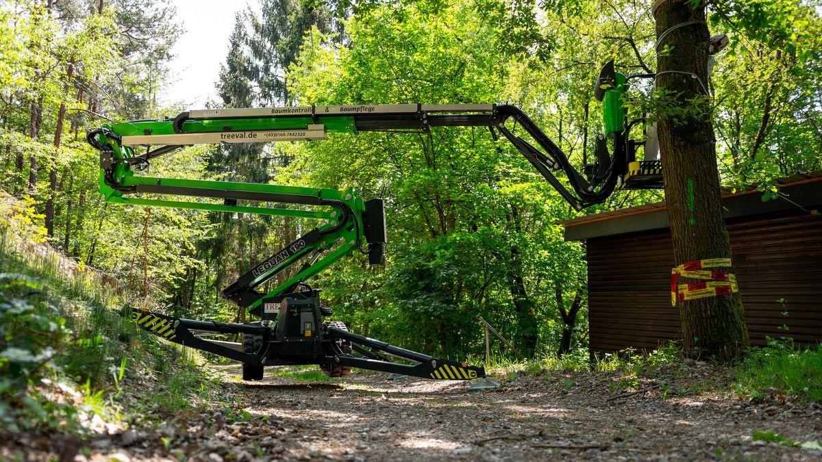 Sonstige Bühnen za tip Sonstige Leguan 190 Hubarbeitsbühne - lagernd, Neumaschine u Waidhofen an der Thaya (Slika 12)