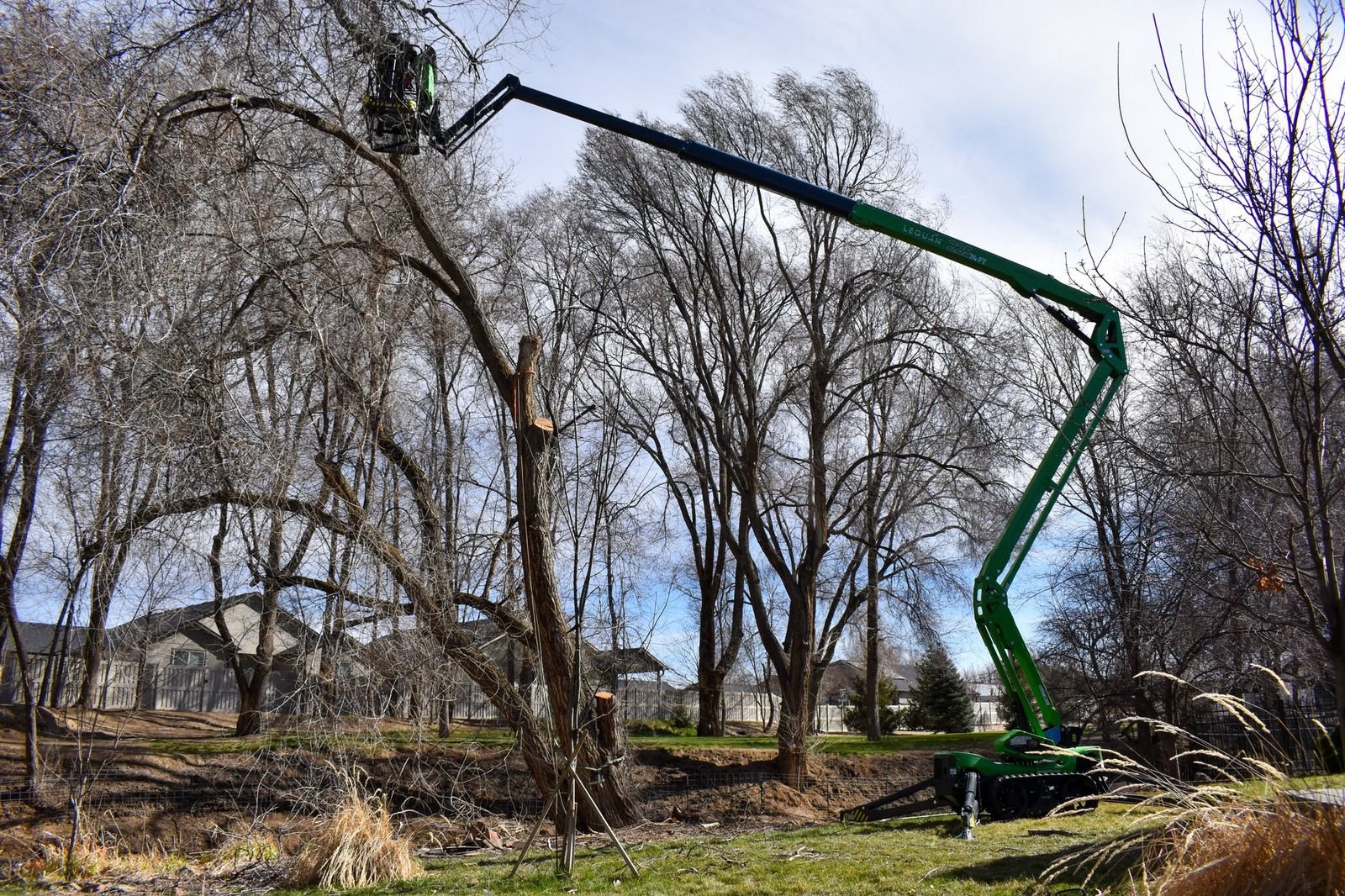 Sonstige Bühnen des Typs Sonstige Leguan Lifts Leguan 225 Hubarbeitsbühne, Neumaschine in Waidhofen an der Thaya (Bild 8)