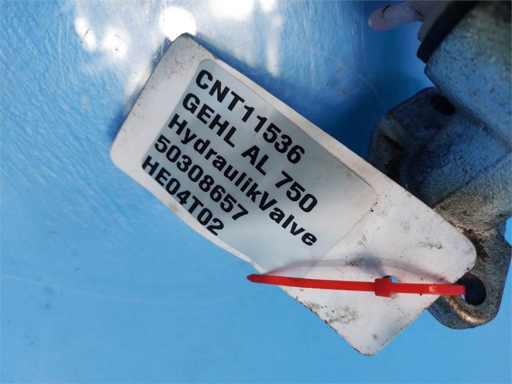 Sonstige Ersatzteile Türe ait Gehl AL750, gebraucht içinde Hemmet (resim 8)