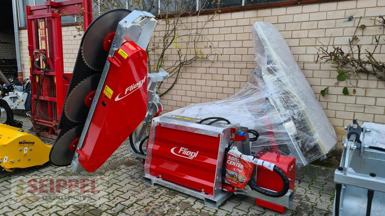 Sonstige Forsttechnik του τύπου Fliegl WOODKING DUO, Neumaschine σε Groß-Umstadt (Φωτογραφία 4)