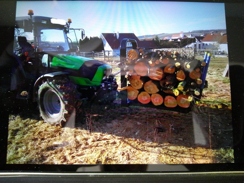 Sonstige Forsttechnik del tipo Holztransportgestell Palettengabel für Front- und Heckhydraulik, Gebrauchtmaschine en Daiting (Imagen 1)