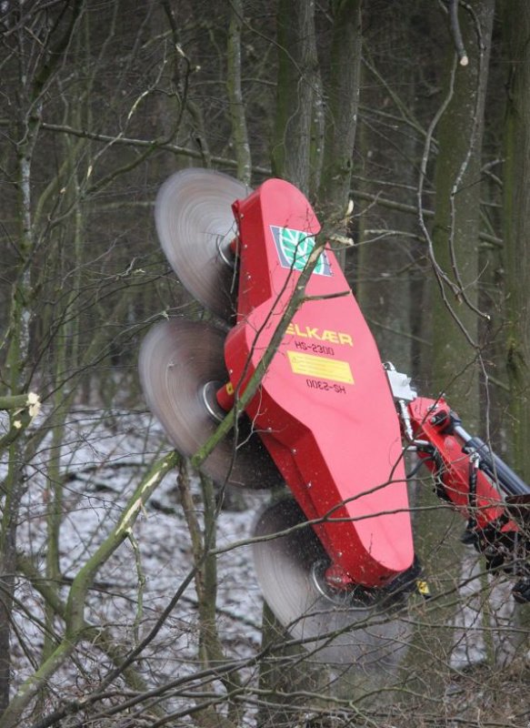 Sonstige Forsttechnik typu Reil & Eichinger Astsäge ELKAER Reil & Eichinger HS 2300 Lichtraumprofilschnitt, Neumaschine w Nittenau (Zdjęcie 5)