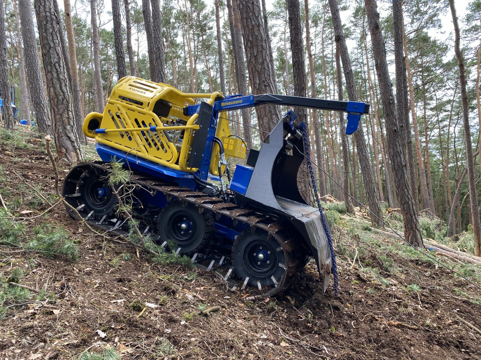 Sonstige Forsttechnik от тип Reil & Eichinger Forstraupe Reil & Eichinger KAPSEN 18RC Rückeraupe Abverkauf Mietparkmaschine -sofort verfügbar-, Gebrauchtmaschine в Nittenau (Снимка 9)