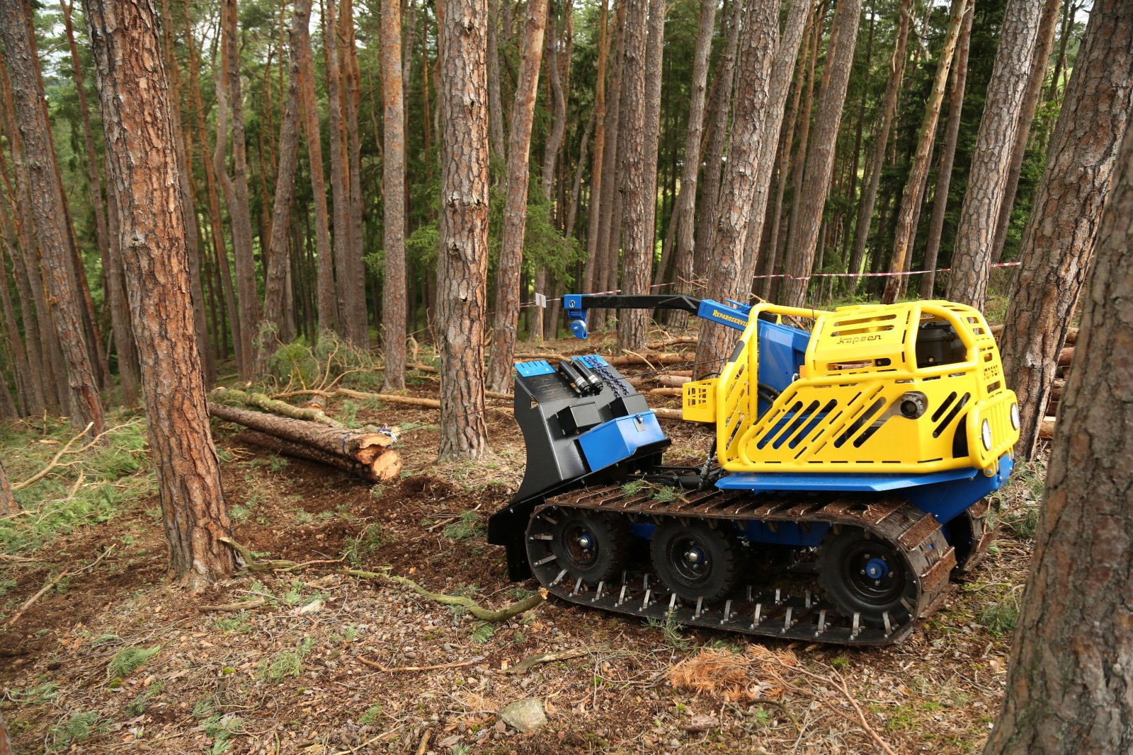 Sonstige Forsttechnik typu Reil & Eichinger Forstraupe Reil & Eichinger KAPSEN 18RC Rückeraupe Abverkauf Mietparkmaschine -sofort verfügbar-, Gebrauchtmaschine v Nittenau (Obrázok 17)