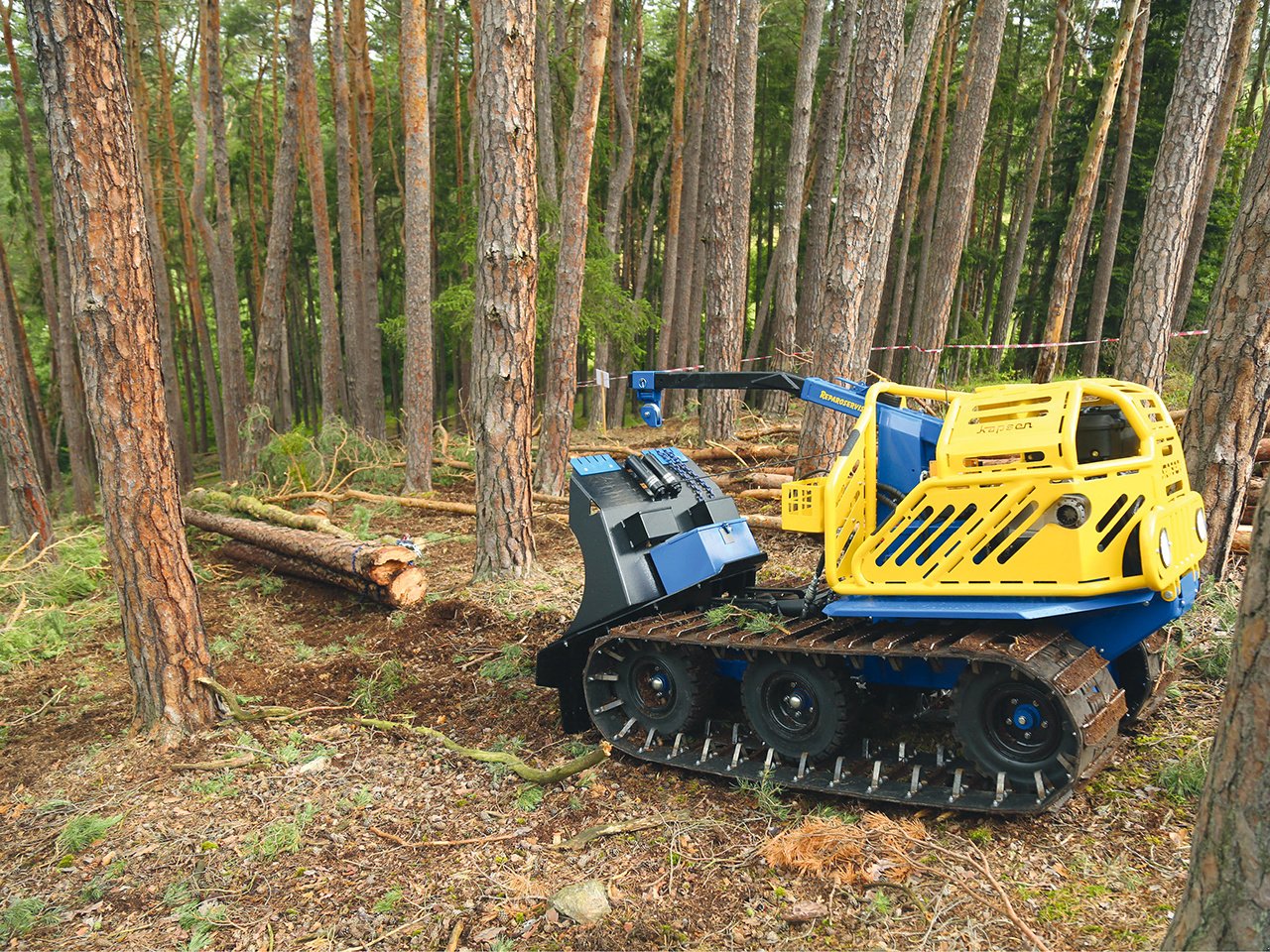 Sonstige Forsttechnik typu Reil & Eichinger KAPSEN 18RC Forstraupe, Neumaschine v Nittenau (Obrázek 3)