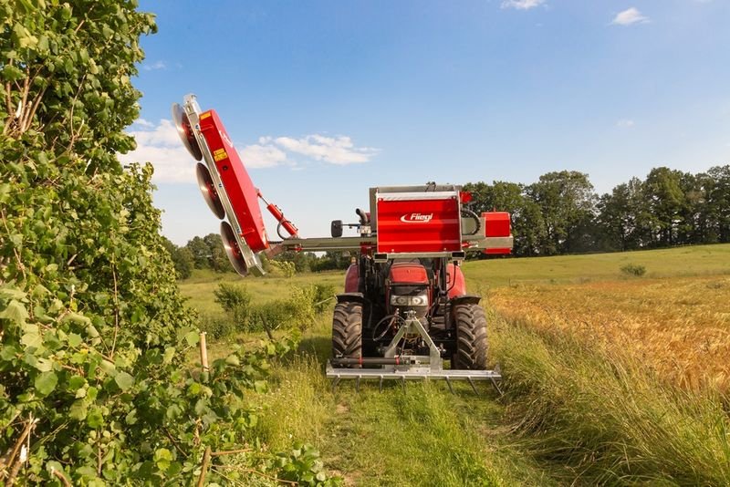 Sonstige Forsttechnik za tip Sonstige Fliegl Woodking Classic rechts Astsäge, Neumaschine u St. Marienkirchen (Slika 5)