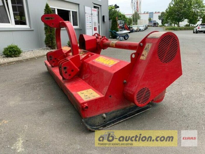 Sonstige Forsttechnik du type Sonstige OMARV ROERO 200 F AB-AUCTION, Gebrauchtmaschine en Hof (Photo 4)