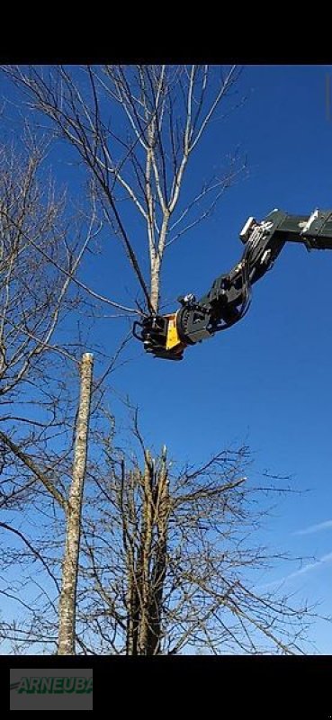 Sonstige Forsttechnik van het type Uniforest Fällgreifer RK 260 BR für Bagger, BRZ auch am Lager, Neumaschine in Schlettau (Foto 5)