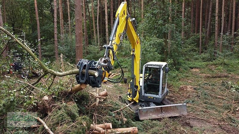 Sonstige Forsttechnik от тип Uniforest Fällgreifer RK 260 BR für Bagger, BRZ auch am Lager, Neumaschine в Schlettau (Снимка 9)