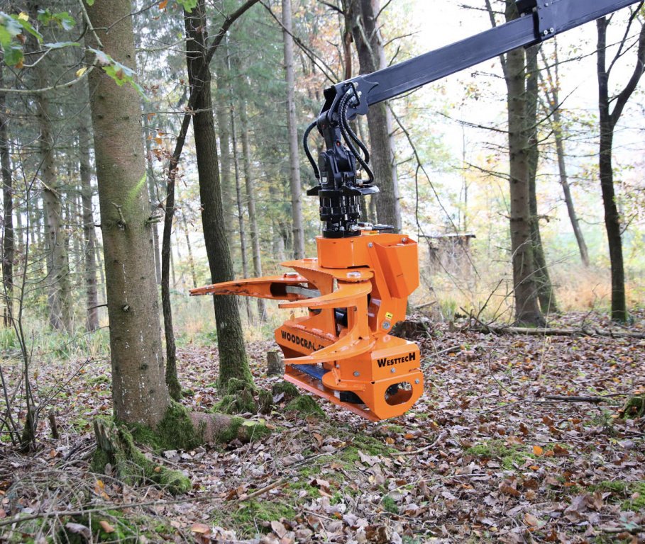 Sonstige Forsttechnik Türe ait westtech CS 510 Crane Greifersäge, Neumaschine içinde Petting (resim 7)