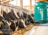 Sonstige Fütterungstechnik tipa GEA Farm Technologies DairyFeed F4500, Neumaschine u Bad Waldsee Mennisweiler (Slika 4)