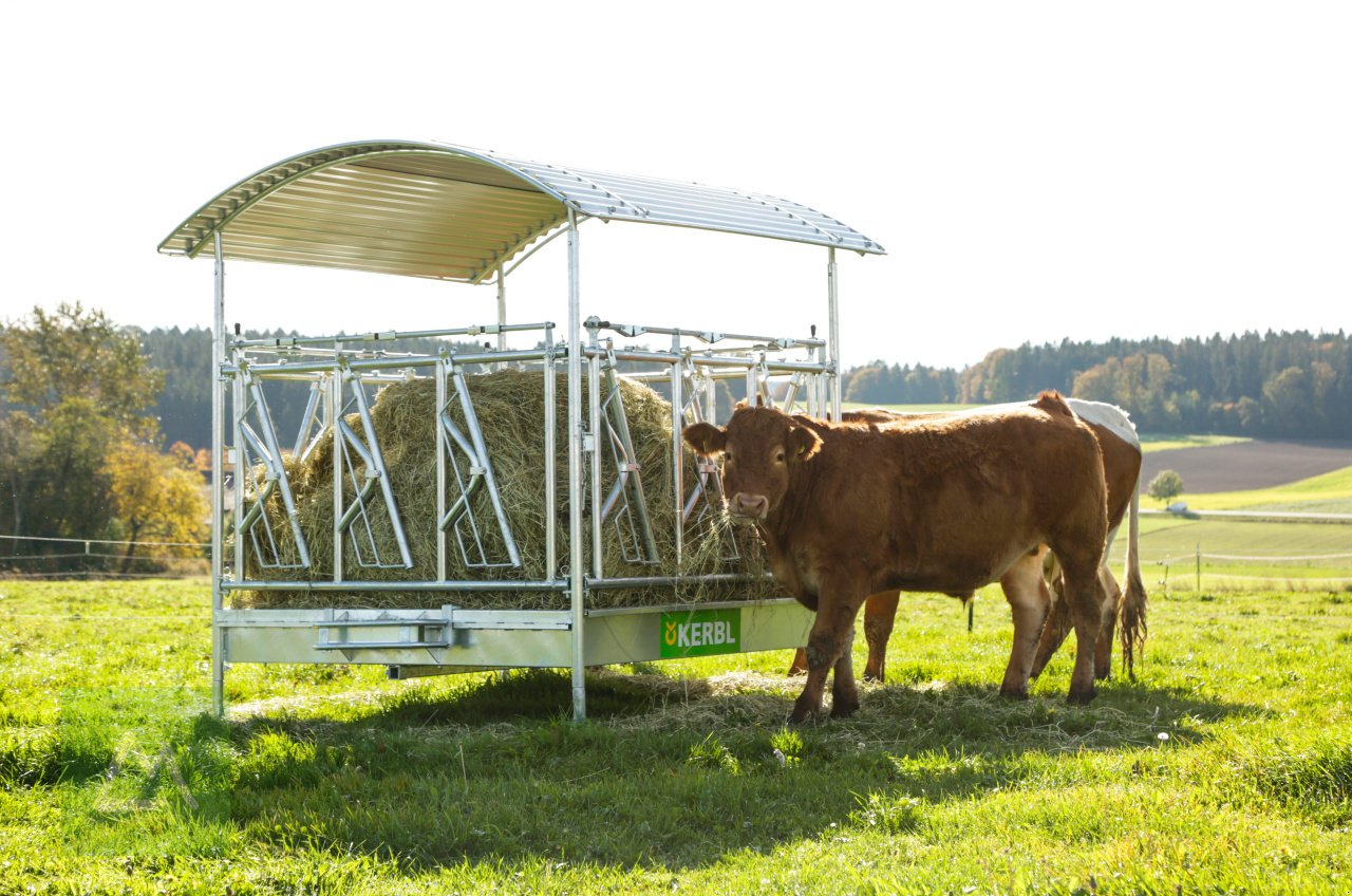 Sonstige Fütterungstechnik typu Kerbl Kerbl Viereckraufe Standard mit Selbstfangfressgitter für hornlose Rinder (kostenlose Lieferung), Neumaschine v Weiz (Obrázok 7)