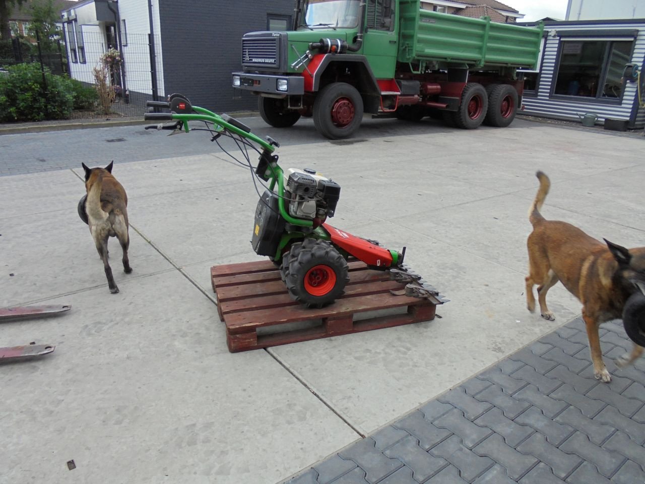 Sonstige Gartentechnik & Kommunaltechnik typu Agria 5300, Gebrauchtmaschine v Hedel (Obrázek 3)