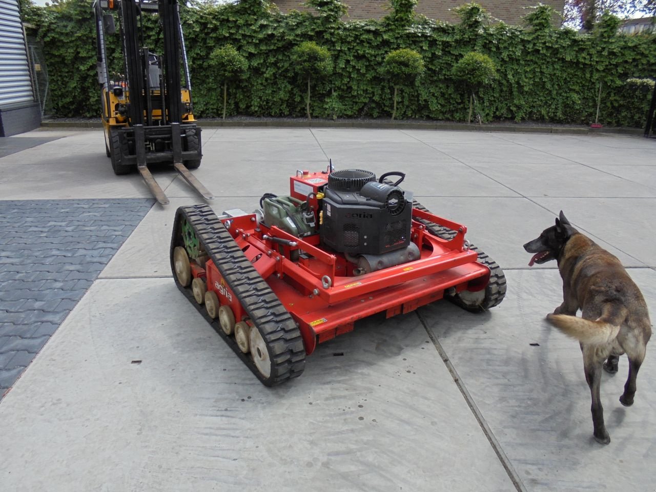 Sonstige Gartentechnik & Kommunaltechnik del tipo Agria 9600, Gebrauchtmaschine In Hedel (Immagine 5)