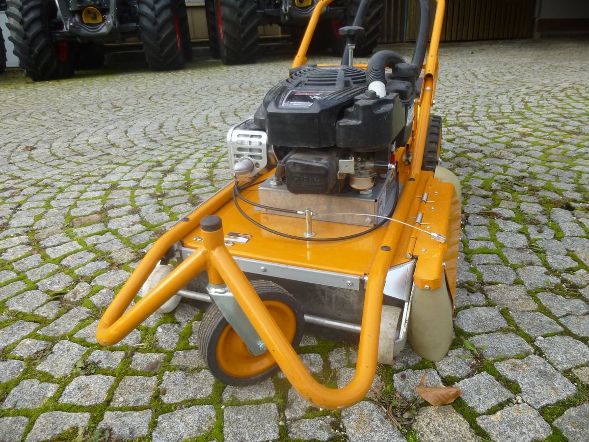 Sonstige Gartentechnik & Kommunaltechnik Türe ait AS Baugeräte 50 WeedHex, Gebrauchtmaschine içinde Ebensee (resim 5)