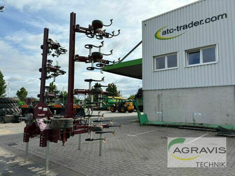 Sonstige Gartentechnik & Kommunaltechnik del tipo Badalini HACKMASCHINE, Gebrauchtmaschine In Calbe / Saale (Immagine 1)