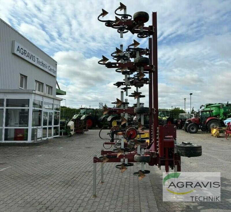 Sonstige Gartentechnik & Kommunaltechnik typu Badalini HACKMASCHINE, Gebrauchtmaschine v Calbe / Saale (Obrázek 4)