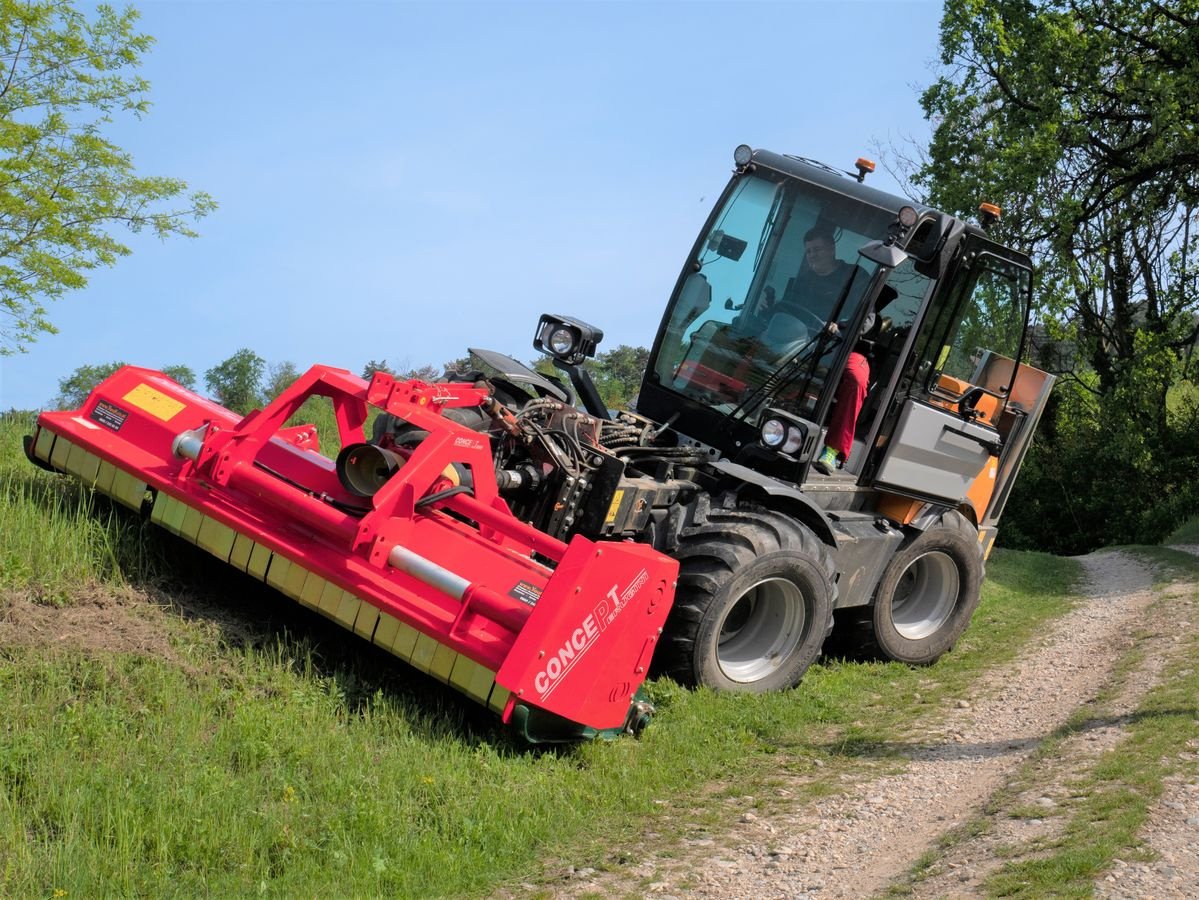 Sonstige Gartentechnik & Kommunaltechnik typu Energreen ILF Kommunal, Vorführmaschine v Krustetten (Obrázek 9)