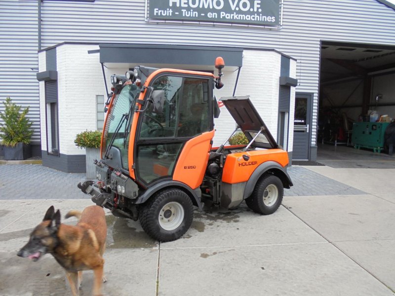 Sonstige Gartentechnik & Kommunaltechnik des Typs Holder B250, Gebrauchtmaschine in Hedel