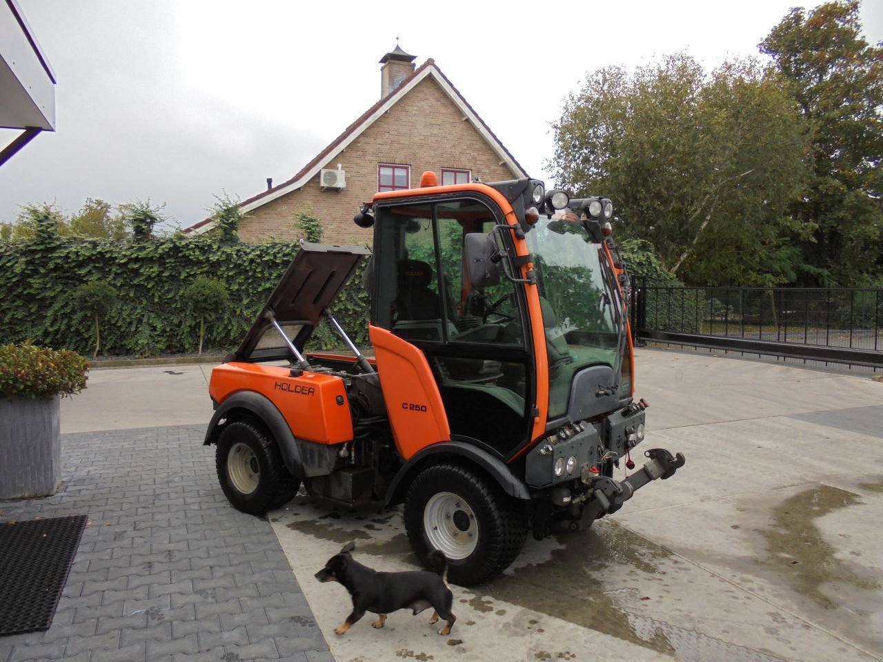 Sonstige Gartentechnik & Kommunaltechnik of the type Holder B250, Gebrauchtmaschine in Hedel (Picture 2)