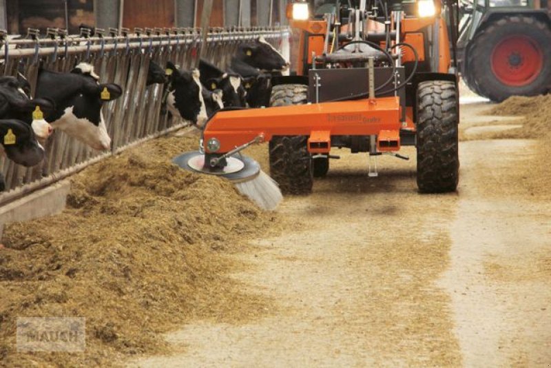 Sonstige Gartentechnik & Kommunaltechnik van het type Sonstige Bema  Unkraut- Wildkrautbürste, Neumaschine in Burgkirchen (Foto 6)