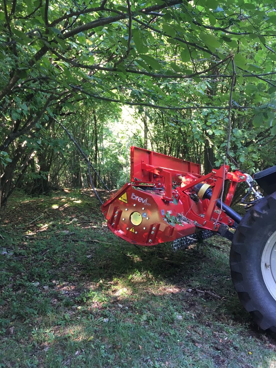 Sonstige Gartentechnik & Kommunaltechnik del tipo Sonstige Breviagri, Vorführmaschine en Altenmarkt (Imagen 4)