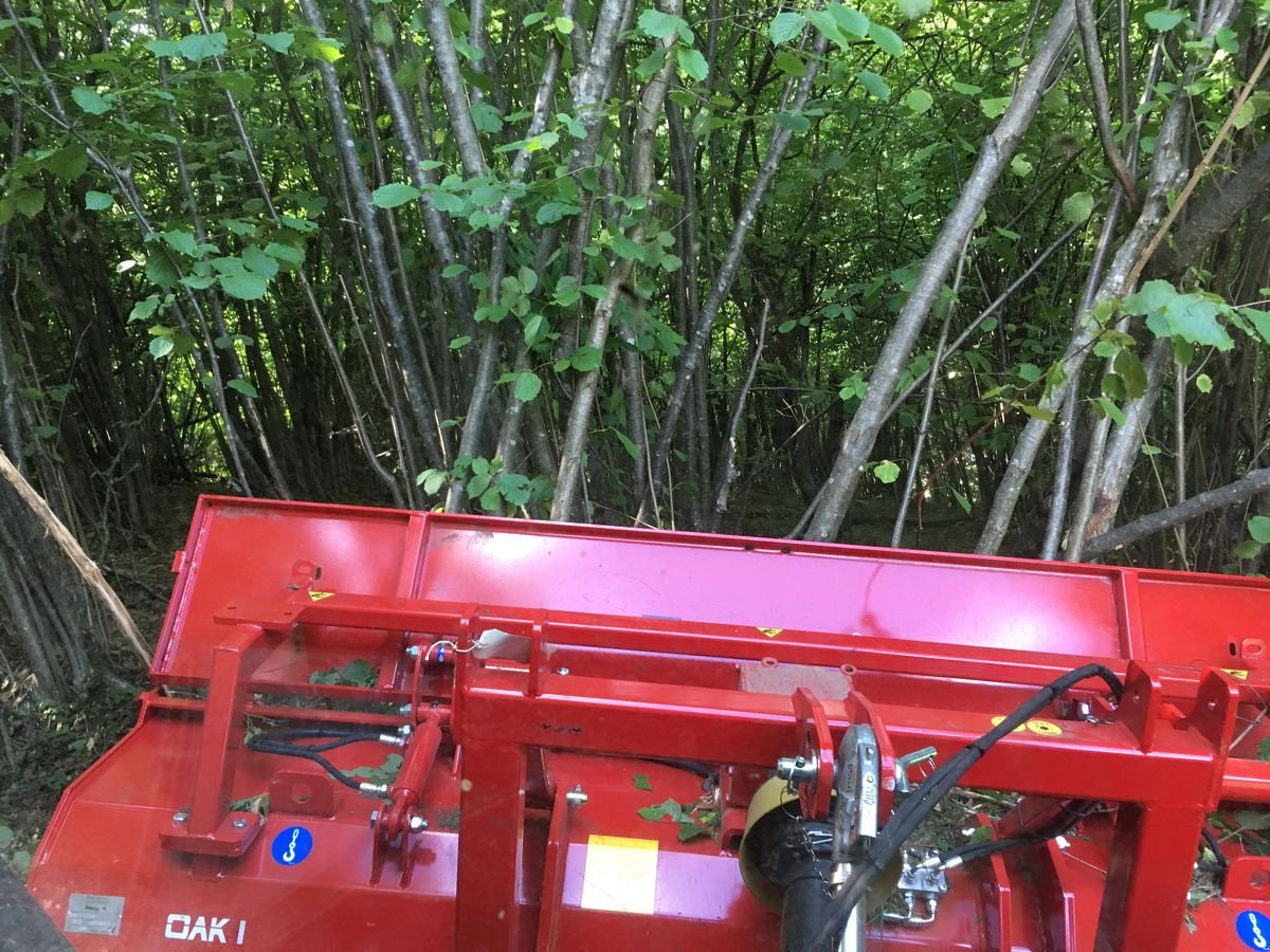 Sonstige Gartentechnik & Kommunaltechnik tip Sonstige Breviagri, Vorführmaschine in Altenmarkt (Poză 1)