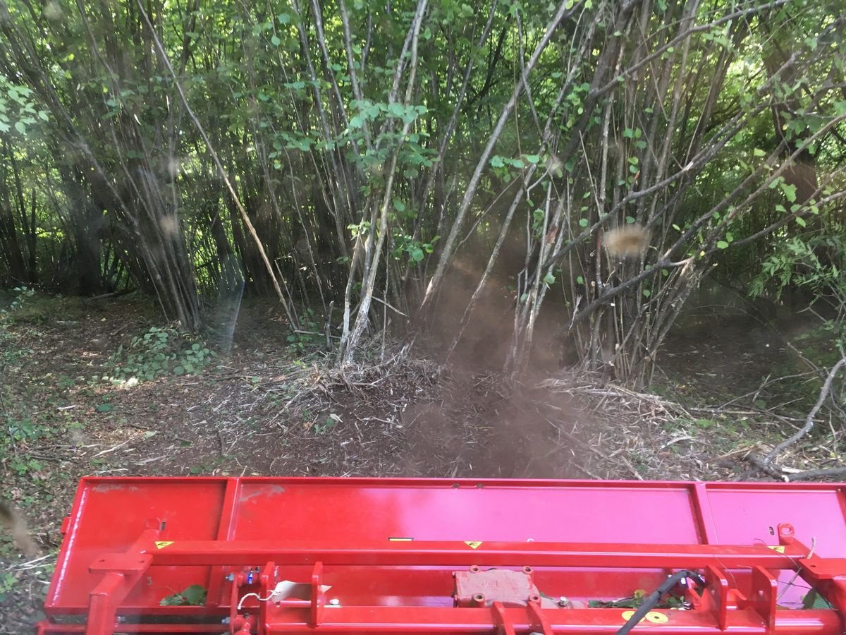 Sonstige Gartentechnik & Kommunaltechnik van het type Sonstige Breviagri, Vorführmaschine in Altenmarkt (Foto 3)