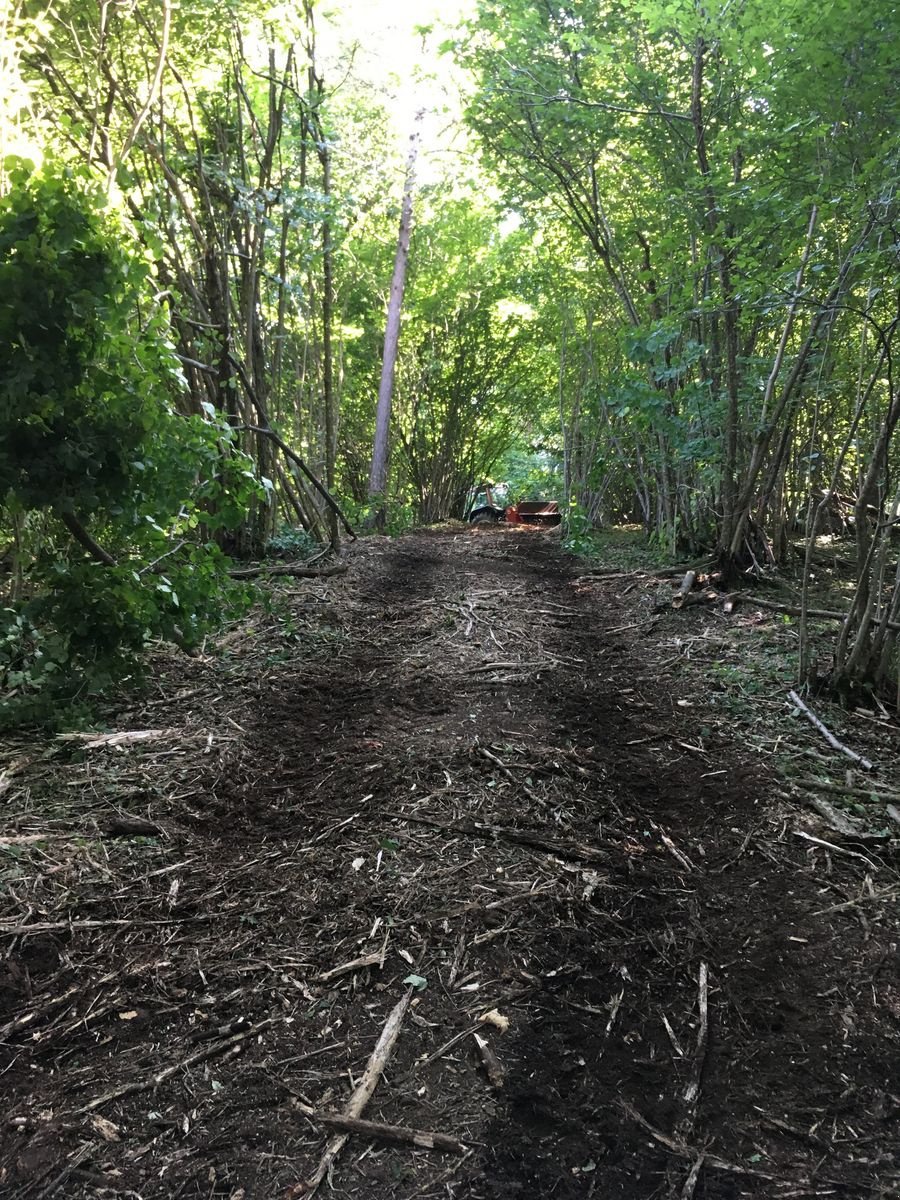 Sonstige Gartentechnik & Kommunaltechnik des Typs Sonstige Breviagri, Vorführmaschine in Altenmarkt (Bild 6)