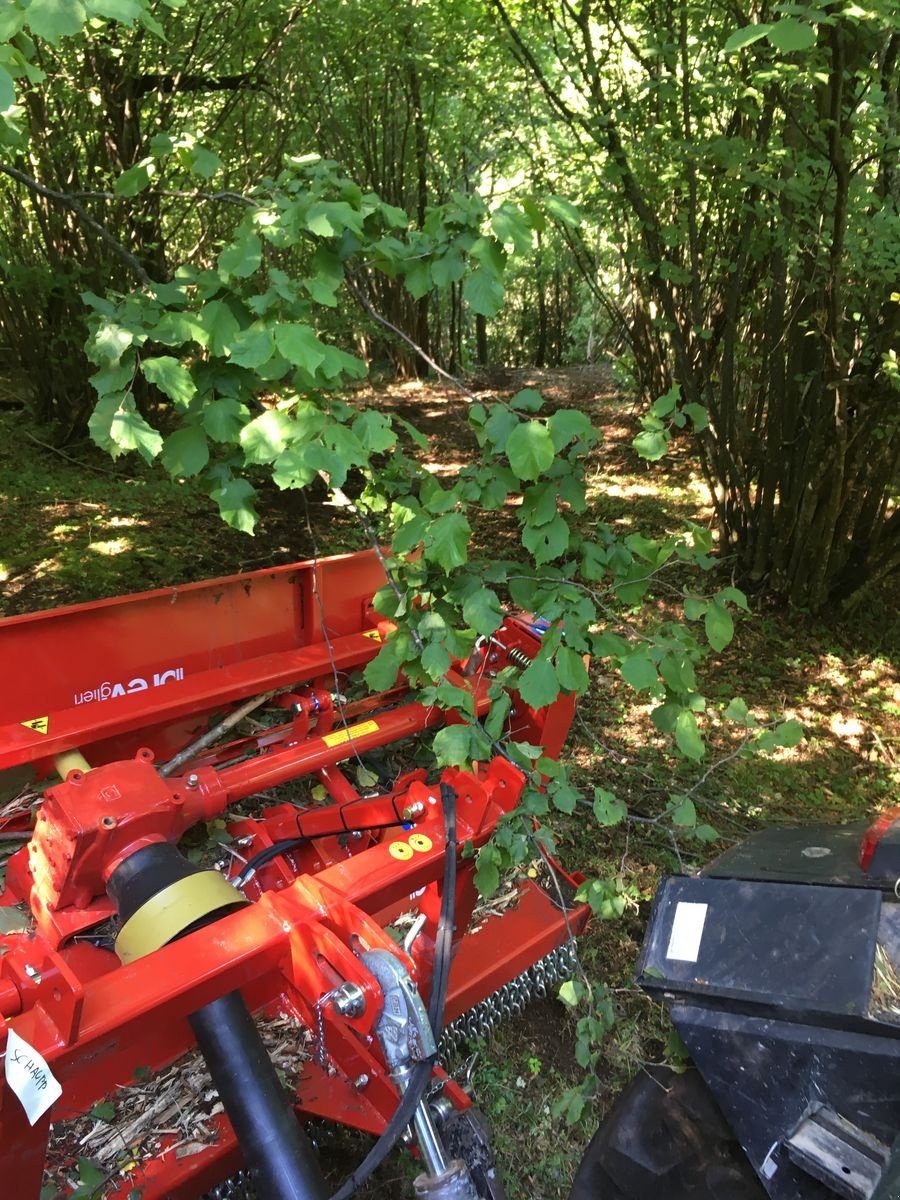 Sonstige Gartentechnik & Kommunaltechnik tip Sonstige Breviagri, Vorführmaschine in Altenmarkt (Poză 5)