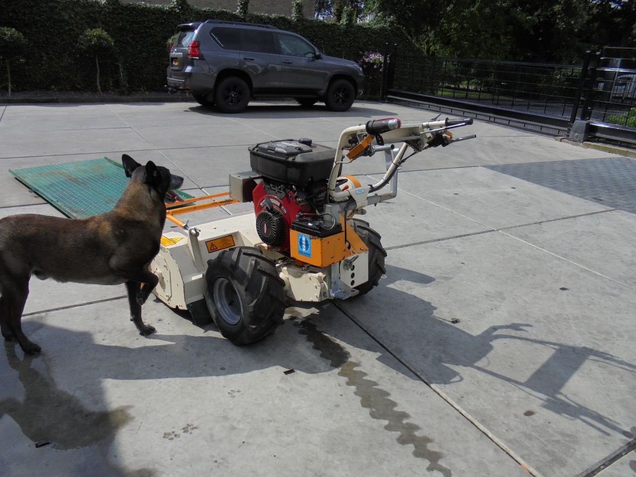 Sonstige Gartentechnik & Kommunaltechnik van het type Sonstige carroy-giraudion klepelmaaier, Gebrauchtmaschine in Hedel (Foto 4)