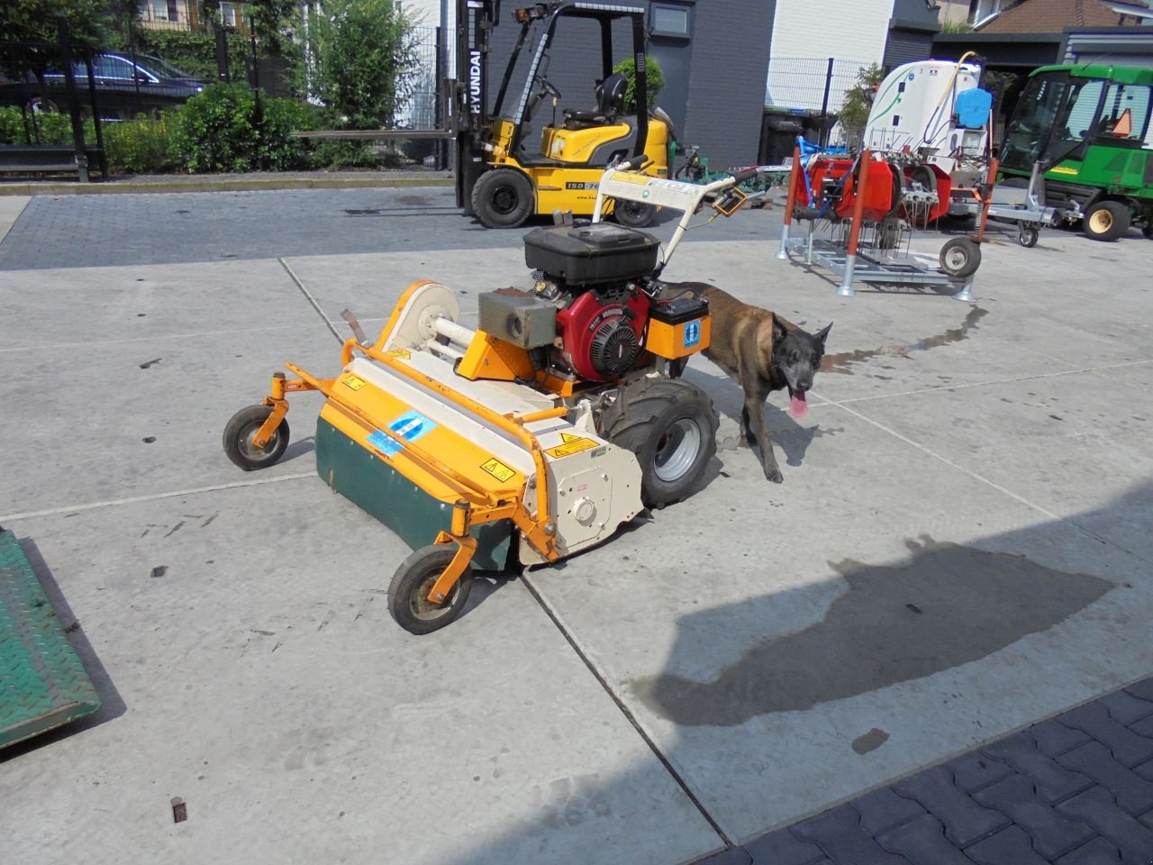 Sonstige Gartentechnik & Kommunaltechnik типа Sonstige carroy-giraudion klepelmaaier, Gebrauchtmaschine в Hedel (Фотография 5)