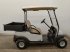 Sonstige Gartentechnik & Kommunaltechnik del tipo Sonstige Clubcar Precedent Open Laadbak/FlipFlop (4 passagiers), Gebrauchtmaschine In Heijen (Immagine 7)