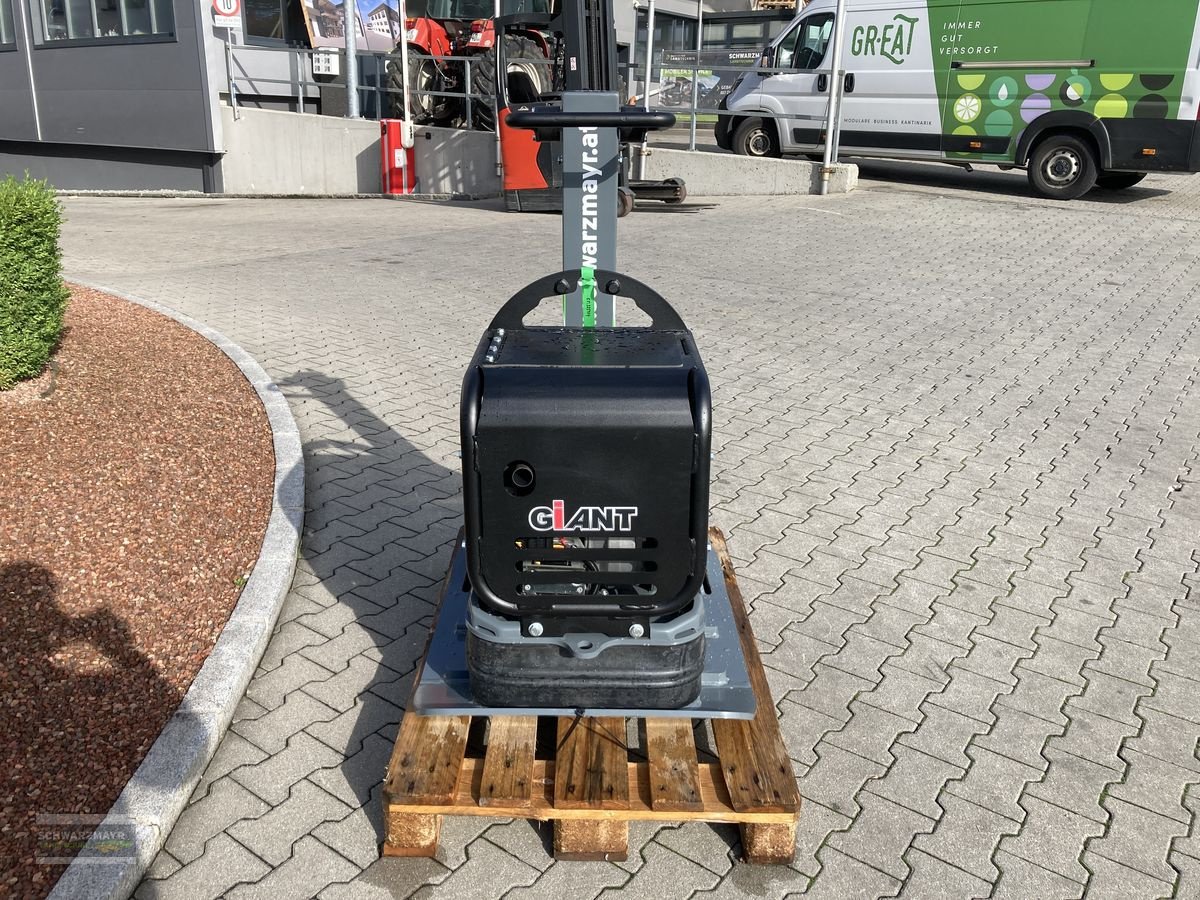 Sonstige Gartentechnik & Kommunaltechnik typu Sonstige Giant GPR5575D Rüttelplatte, Neumaschine w Aurolzmünster (Zdjęcie 2)