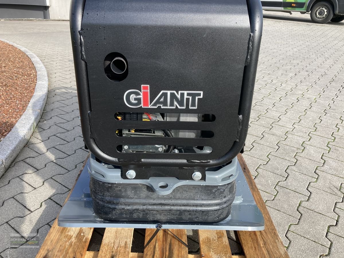 Sonstige Gartentechnik & Kommunaltechnik des Typs Sonstige Giant GPR5575D Rüttelplatte, Neumaschine in Aurolzmünster (Bild 15)