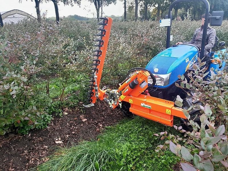 Sonstige Gartentechnik & Kommunaltechnik del tipo Sonstige Rinieri Heckenschere EURO-Aufnahme Heckenschneider Frontladersäge, Gebrauchtmaschine In Schmallenberg (Immagine 1)