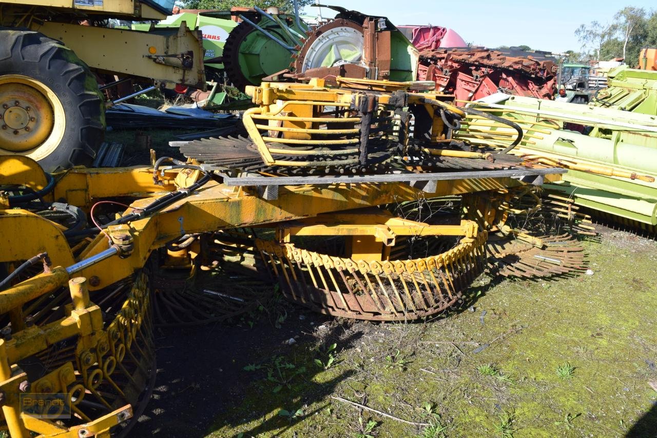 Sonstige Gemüsetechnik typu Kleine K6 - Erntevorsatz Rübenroder, Gebrauchtmaschine v Oyten (Obrázok 3)